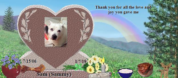 Sam (Sammy)'s Rainbow Bridge Pet Loss Memorial Residency Image