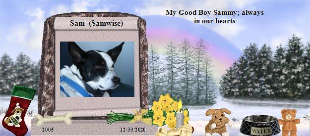 Sam  (Samwise)'s Rainbow Bridge Pet Loss Memorial Residency Image