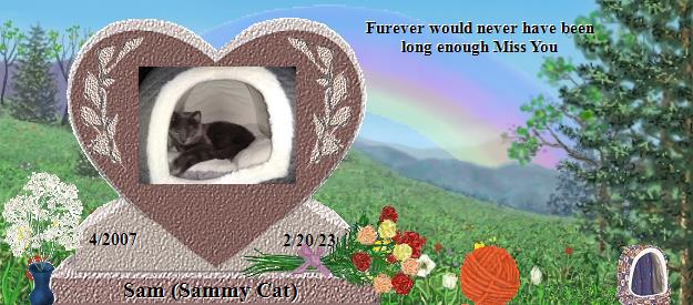 Sam (Sammy Cat)'s Rainbow Bridge Pet Loss Memorial Residency Image