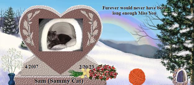 Sam (Sammy Cat)'s Rainbow Bridge Pet Loss Memorial Residency Image