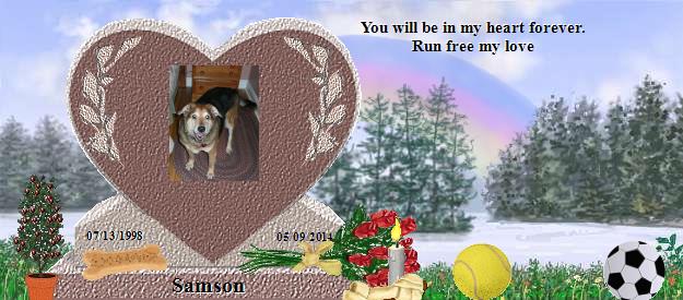 Samson's Rainbow Bridge Pet Loss Memorial Residency Image