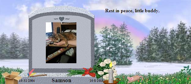 Samson's Rainbow Bridge Pet Loss Memorial Residency Image