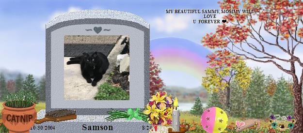 Samson's Rainbow Bridge Pet Loss Memorial Residency Image
