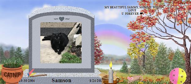 Samson's Rainbow Bridge Pet Loss Memorial Residency Image