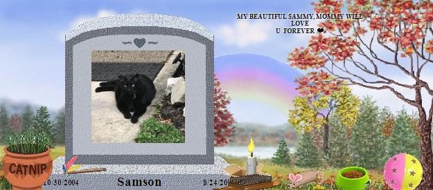 Samson's Rainbow Bridge Pet Loss Memorial Residency Image