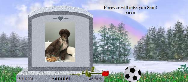 Samuel's Rainbow Bridge Pet Loss Memorial Residency Image