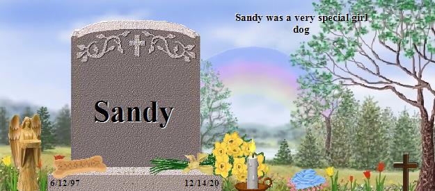 Sandy's Rainbow Bridge Pet Loss Memorial Residency Image