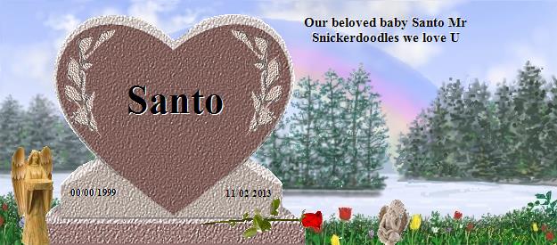 Santo's Rainbow Bridge Pet Loss Memorial Residency Image