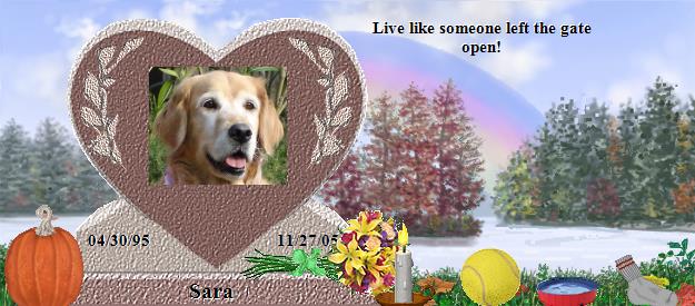 Sara's Rainbow Bridge Pet Loss Memorial Residency Image