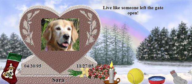 Sara's Rainbow Bridge Pet Loss Memorial Residency Image