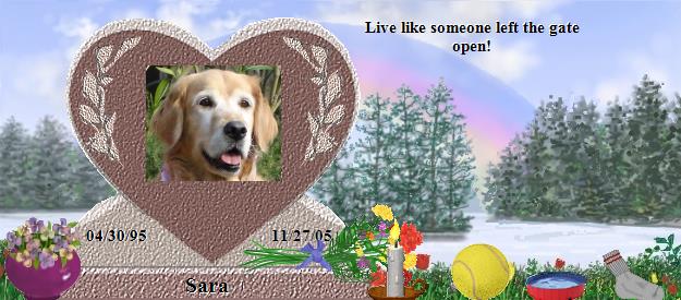 Sara's Rainbow Bridge Pet Loss Memorial Residency Image