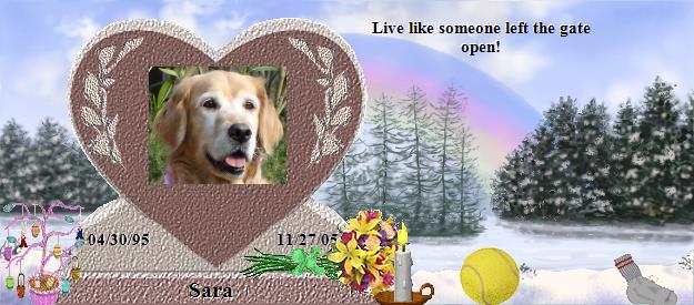 Sara's Rainbow Bridge Pet Loss Memorial Residency Image