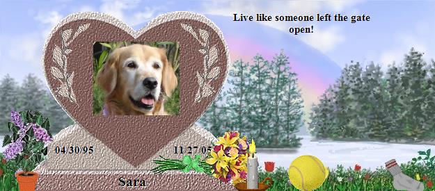 Sara's Rainbow Bridge Pet Loss Memorial Residency Image