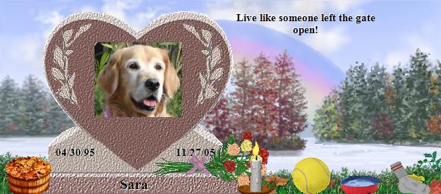 Sara's Rainbow Bridge Pet Loss Memorial Residency Image