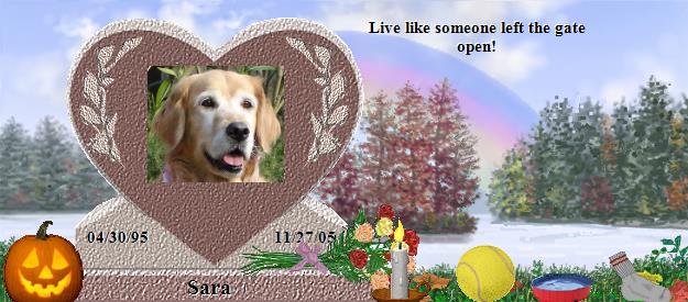 Sara's Rainbow Bridge Pet Loss Memorial Residency Image