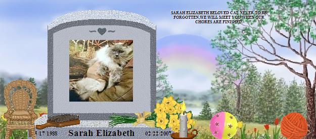 Sarah Elizabeth's Rainbow Bridge Pet Loss Memorial Residency Image
