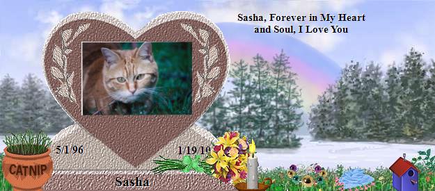 Sasha's Rainbow Bridge Pet Loss Memorial Residency Image