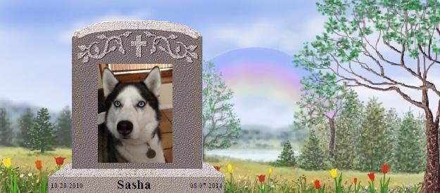 Sasha's Rainbow Bridge Pet Loss Memorial Residency Image