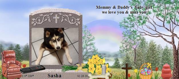 Sasha's Rainbow Bridge Pet Loss Memorial Residency Image