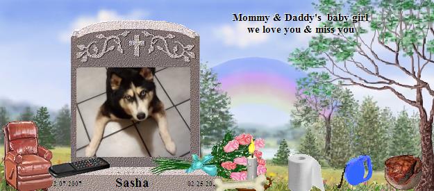 Sasha's Rainbow Bridge Pet Loss Memorial Residency Image