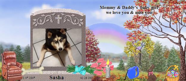 Sasha's Rainbow Bridge Pet Loss Memorial Residency Image