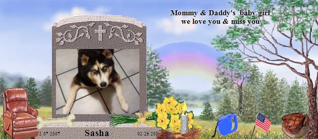 Sasha's Rainbow Bridge Pet Loss Memorial Residency Image