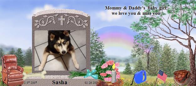 Sasha's Rainbow Bridge Pet Loss Memorial Residency Image