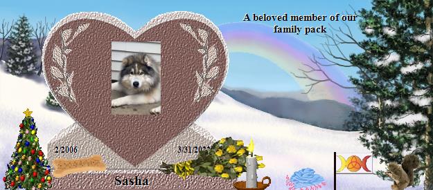 Sasha's Rainbow Bridge Pet Loss Memorial Residency Image