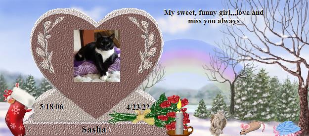 Sasha's Rainbow Bridge Pet Loss Memorial Residency Image