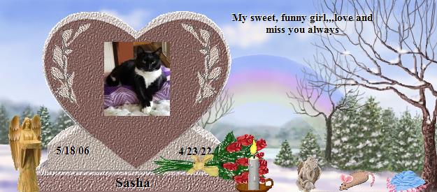 Sasha's Rainbow Bridge Pet Loss Memorial Residency Image