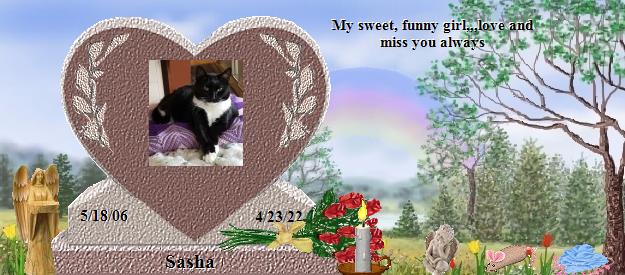 Sasha's Rainbow Bridge Pet Loss Memorial Residency Image
