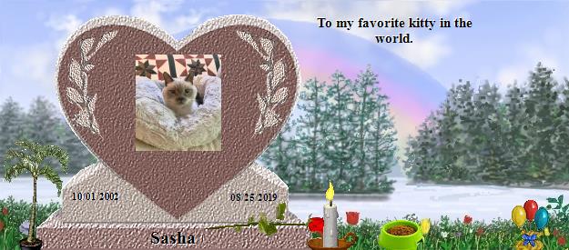 Sasha's Rainbow Bridge Pet Loss Memorial Residency Image