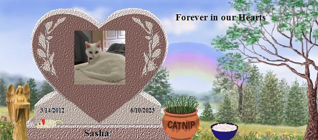 Sasha's Rainbow Bridge Pet Loss Memorial Residency Image