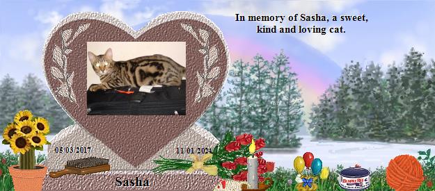 Sasha's Rainbow Bridge Pet Loss Memorial Residency Image