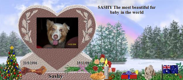 Sashy's Rainbow Bridge Pet Loss Memorial Residency Image