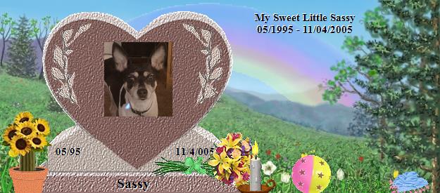 Sassy's Rainbow Bridge Pet Loss Memorial Residency Image