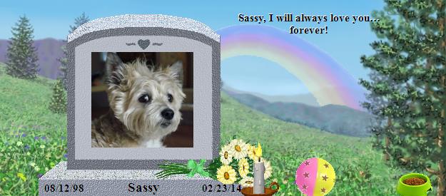 Sassy's Rainbow Bridge Pet Loss Memorial Residency Image