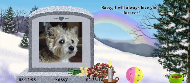Sassy's Rainbow Bridge Pet Loss Memorial Residency Image