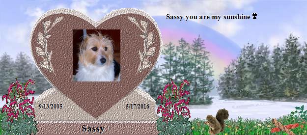 Sassy's Rainbow Bridge Pet Loss Memorial Residency Image