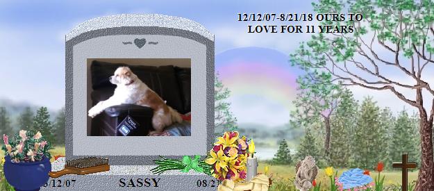 SASSY's Rainbow Bridge Pet Loss Memorial Residency Image
