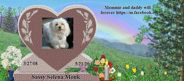Sassy Selena Monk's Rainbow Bridge Pet Loss Memorial Residency Image