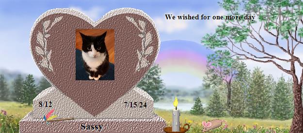 Sassy's Rainbow Bridge Pet Loss Memorial Residency Image