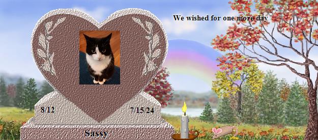 Sassy's Rainbow Bridge Pet Loss Memorial Residency Image