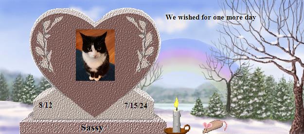 Sassy's Rainbow Bridge Pet Loss Memorial Residency Image