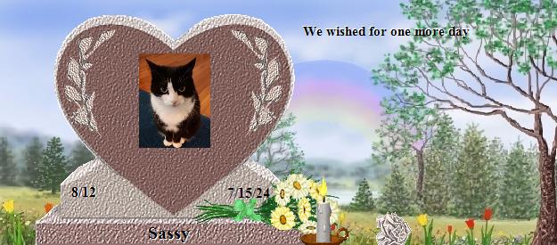 Sassy's Rainbow Bridge Pet Loss Memorial Residency Image