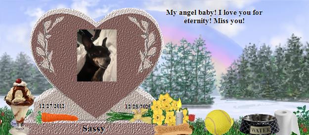 Sassy's Rainbow Bridge Pet Loss Memorial Residency Image