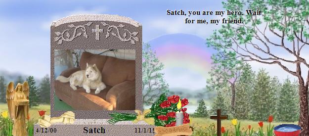 Satch's Rainbow Bridge Pet Loss Memorial Residency Image