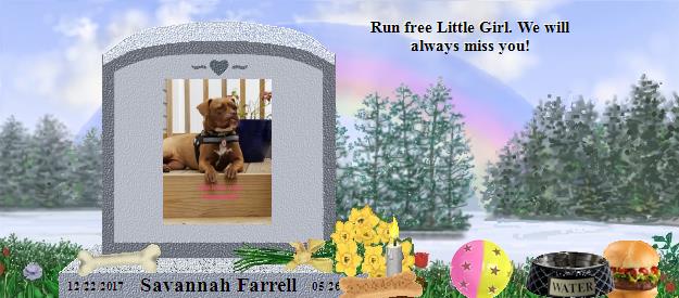 Savannah Farrell's Rainbow Bridge Pet Loss Memorial Residency Image