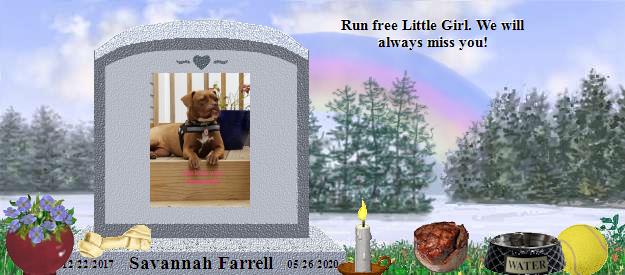 Savannah Farrell's Rainbow Bridge Pet Loss Memorial Residency Image