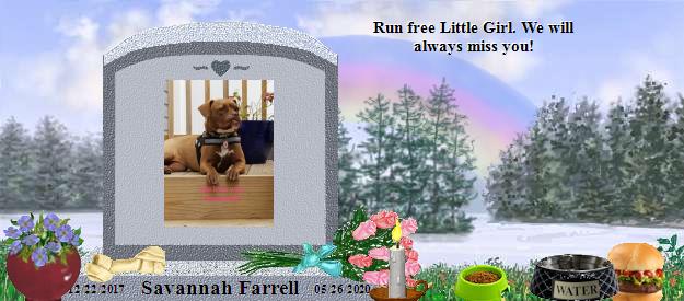 Savannah Farrell's Rainbow Bridge Pet Loss Memorial Residency Image